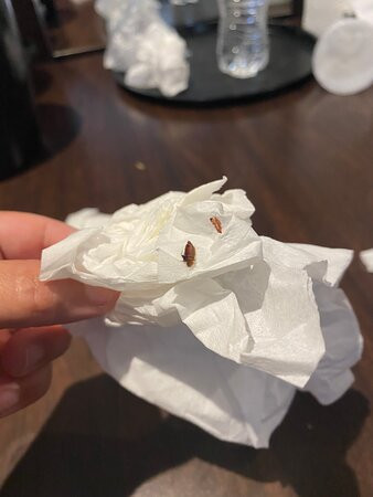 Ocean's Edge Hotel, Port Aransas TX主图