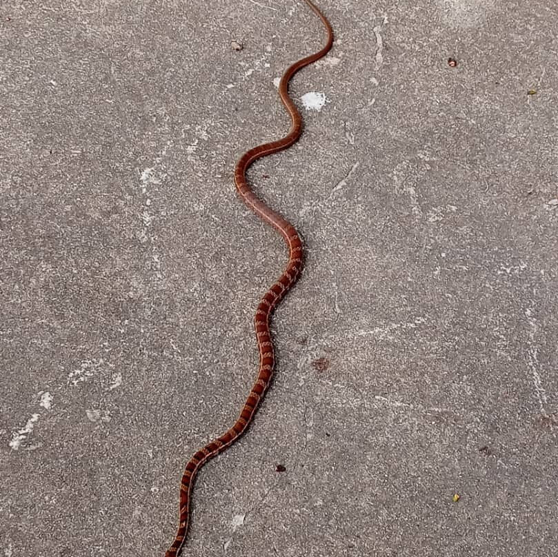 Parque del Este-加拉加斯必去景点