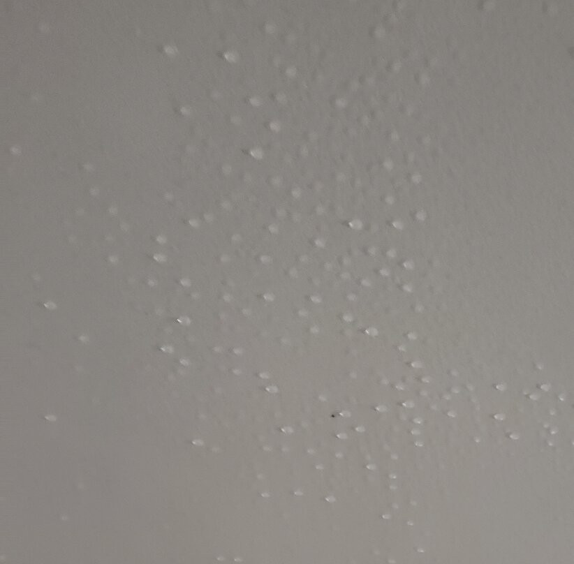 Punta Palma Hotel主图