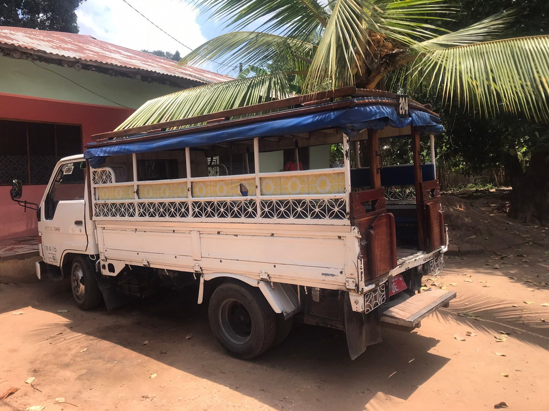 Village Green Spice farm