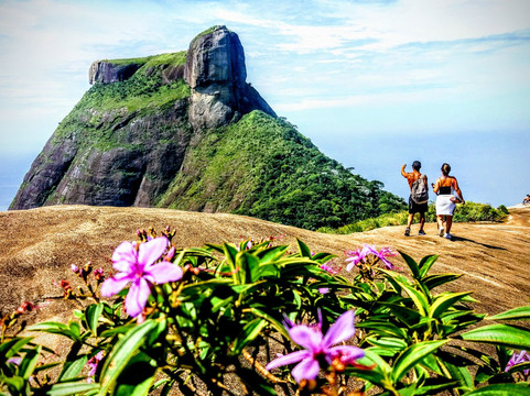 Jungle Me - Hiking and Trekking Ecotours