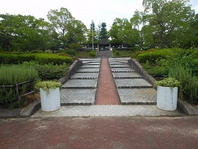 Nishiina Park景点图片