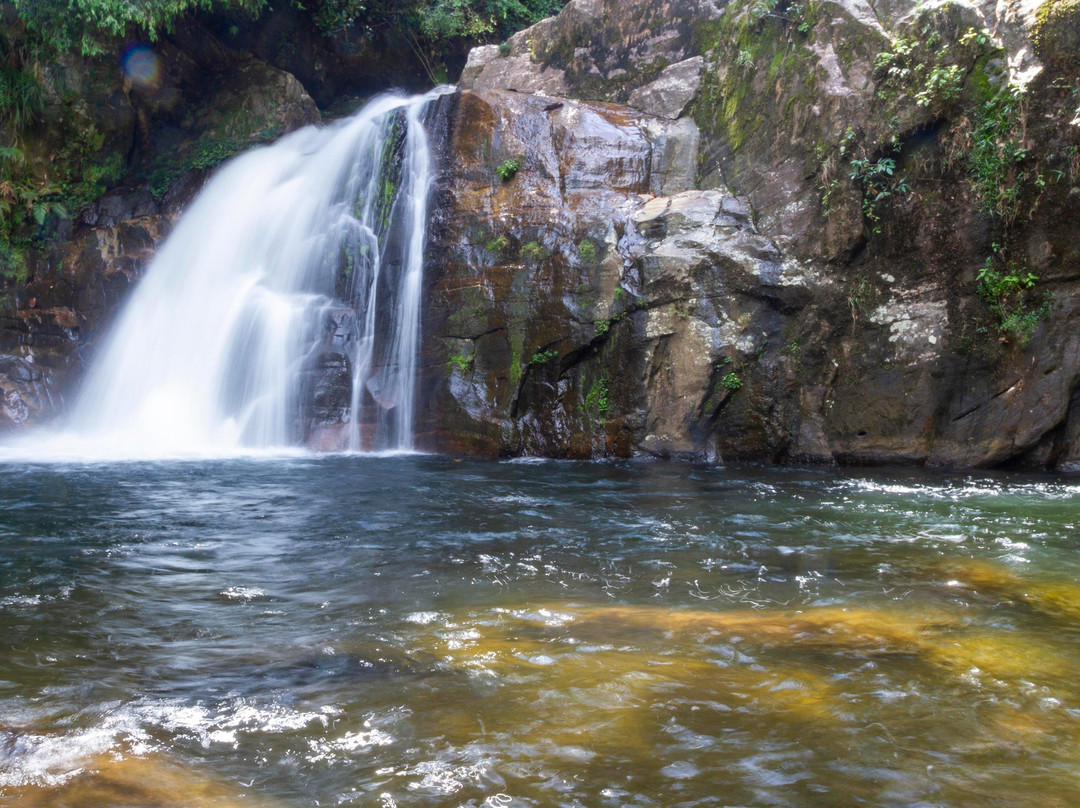 Explore Sinharaja Rain Forest Tour景点图片