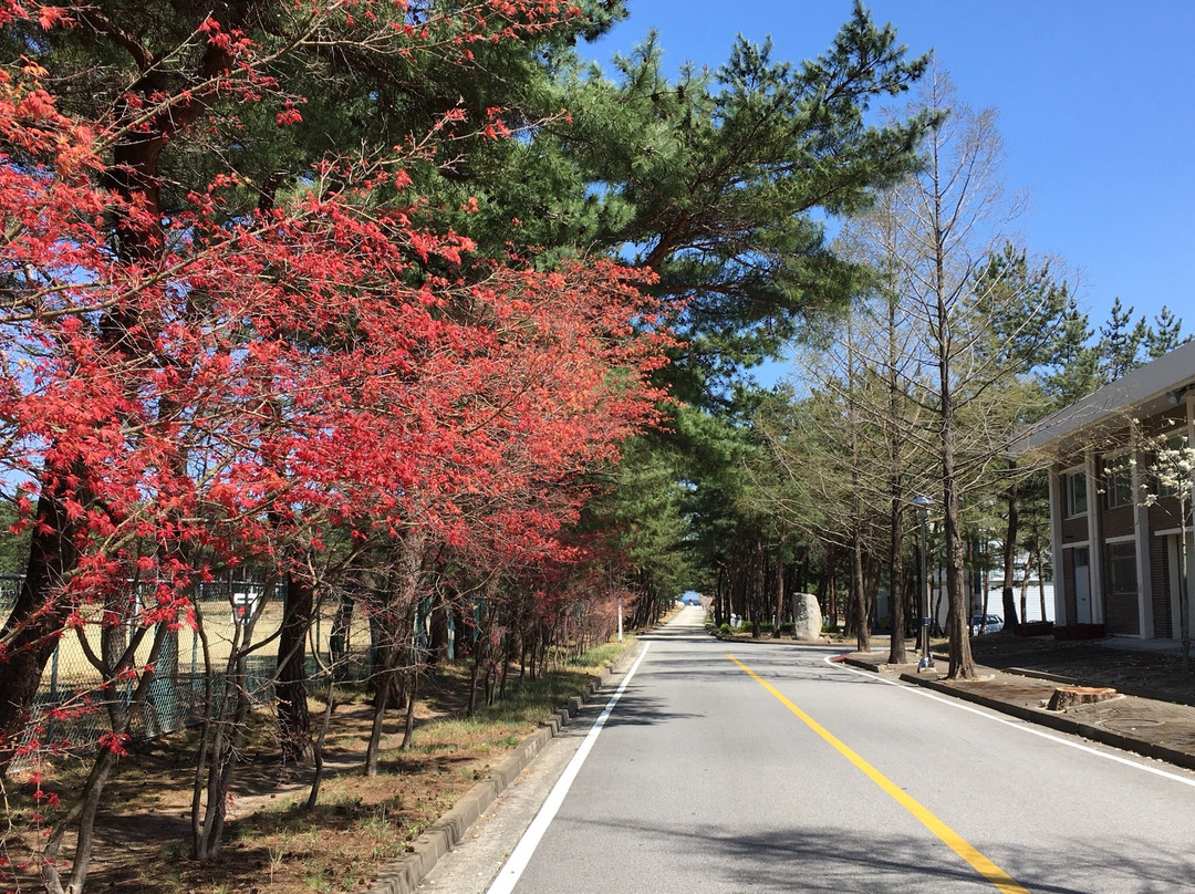 Gangwon State University-江陵市必去景点