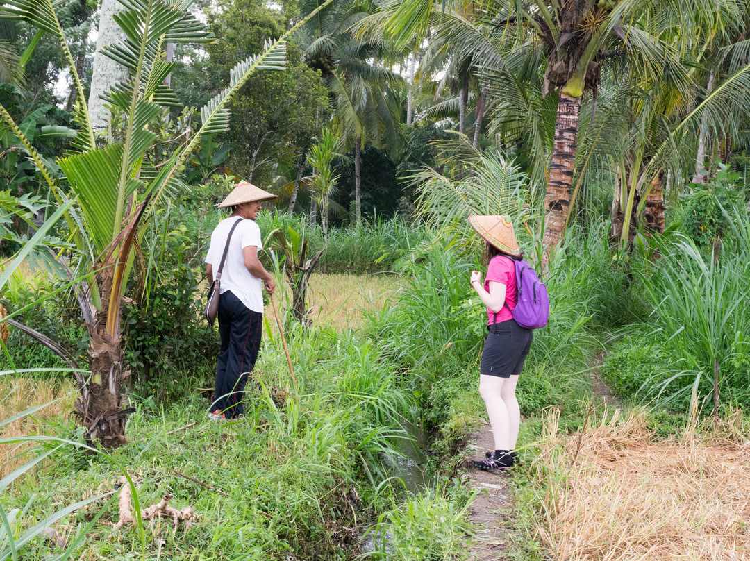 Herb Walk-邦利必去景点
