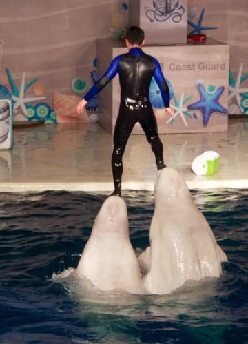 长风公园-上海市必去景点