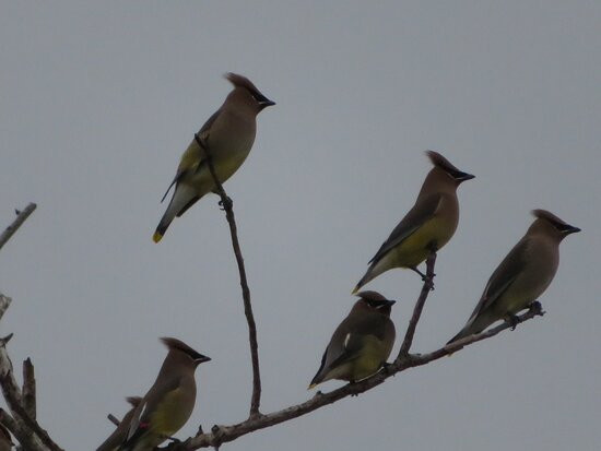 Joan & Scott Holt Paradise Pond-阿兰瑟斯港必去景点