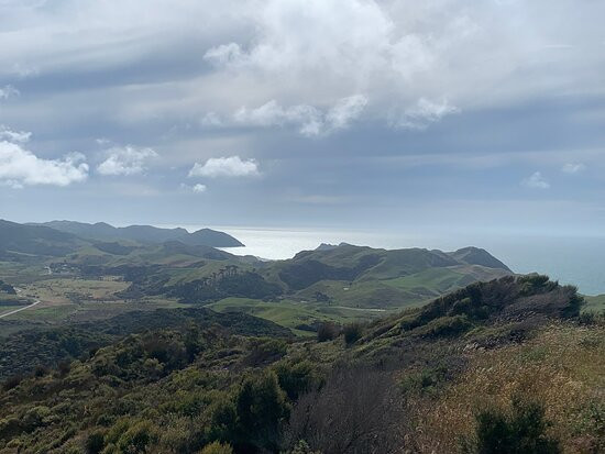 Cape Farewell Horse Treks景点图片