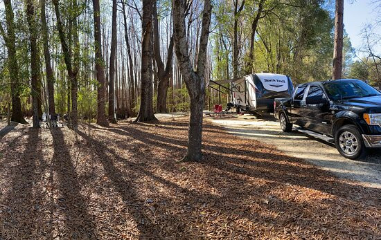 George L. Smith Park-Twin City必去景点