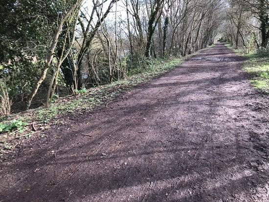 Batchworth Lake And The Grand Union Canal walk景点图片