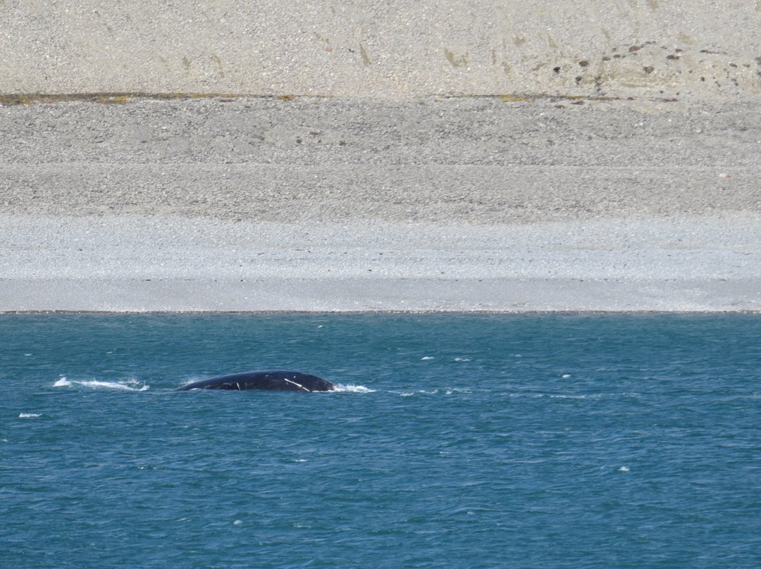 Ellesmere Island-Nunavut必去景点