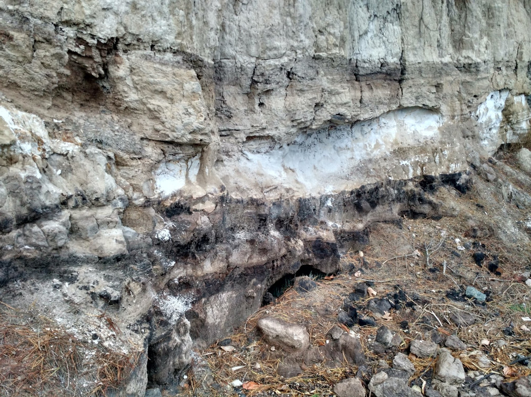 Pakuranga Rotary Walkway-奥克兰中心地区必去景点