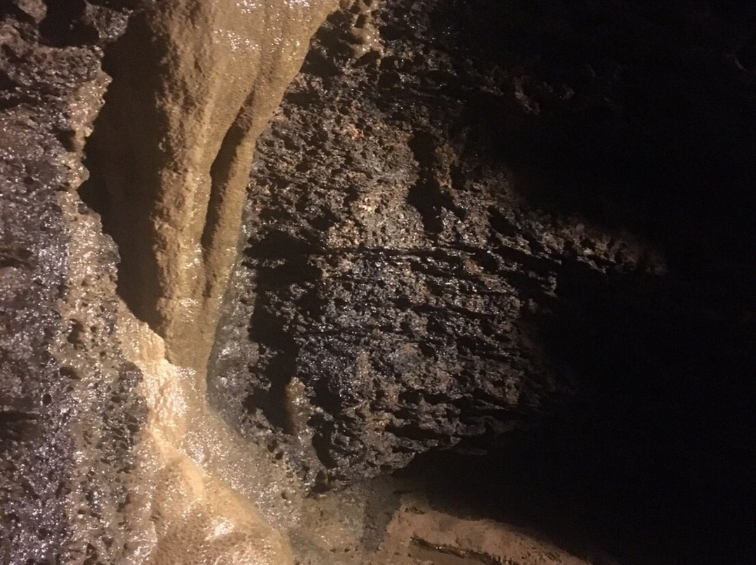 Nanatsugama Limestone Cave景点图片