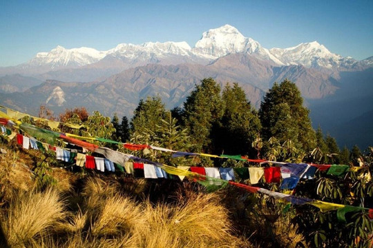 Bold Himalaya Treks and Travels Pvt Ltd