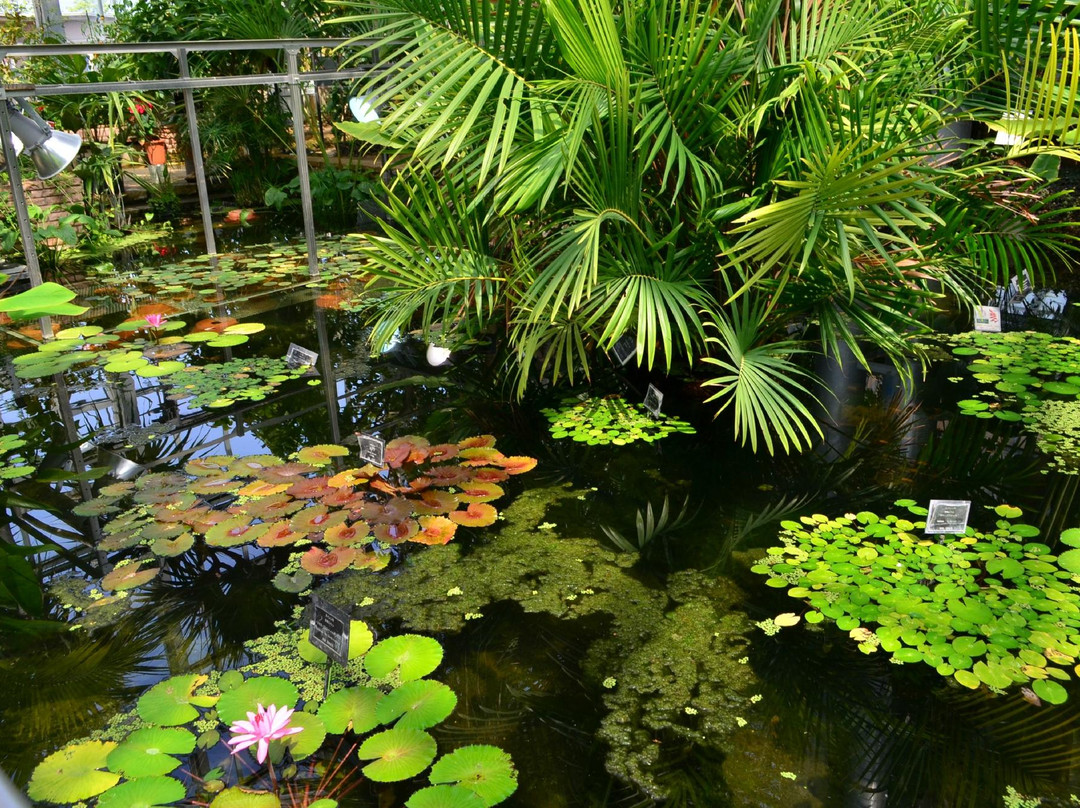 Botanic Gardens of Toyama景点图片