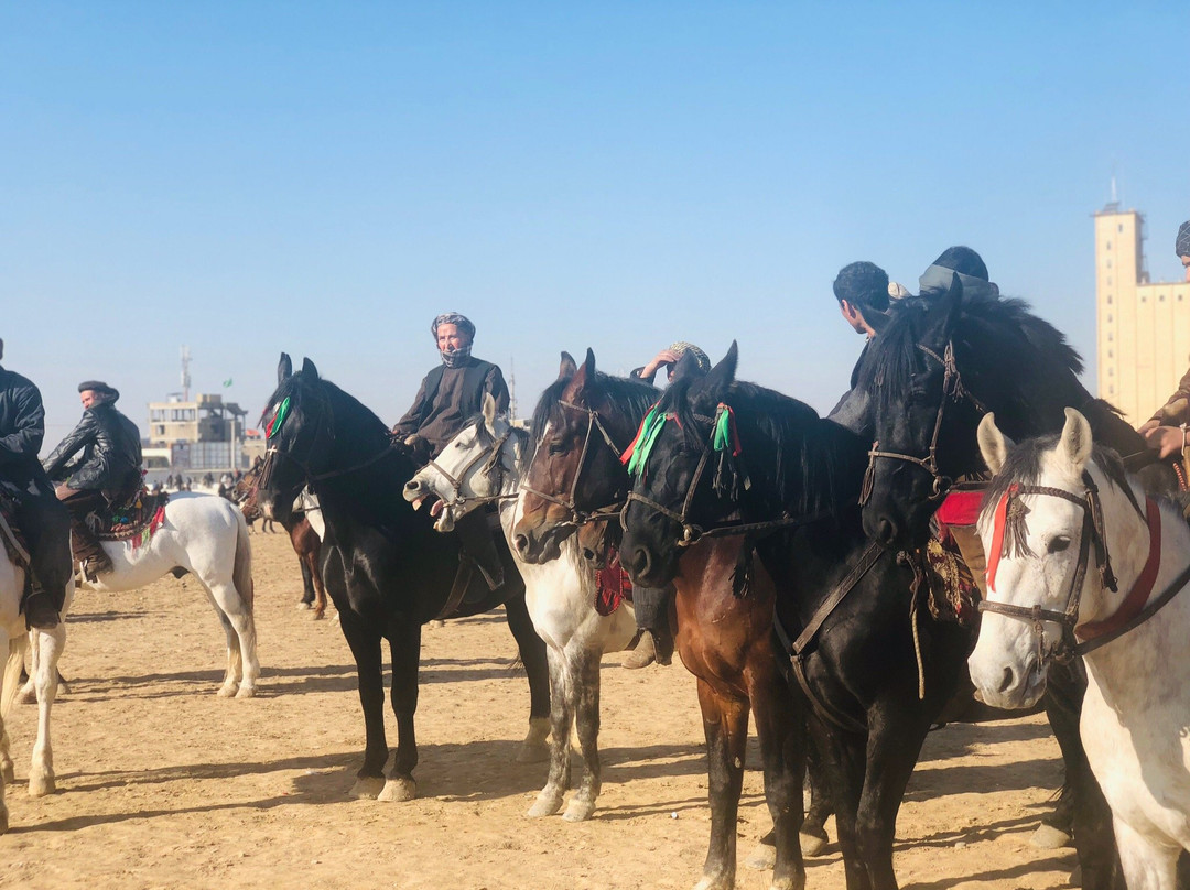 Buzkashi Stadium景点图片