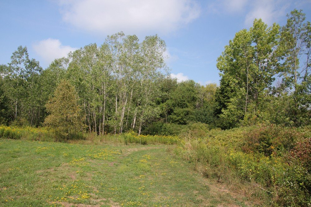 Wainfleet Bog Conservation Area-Wainfleet必去景点