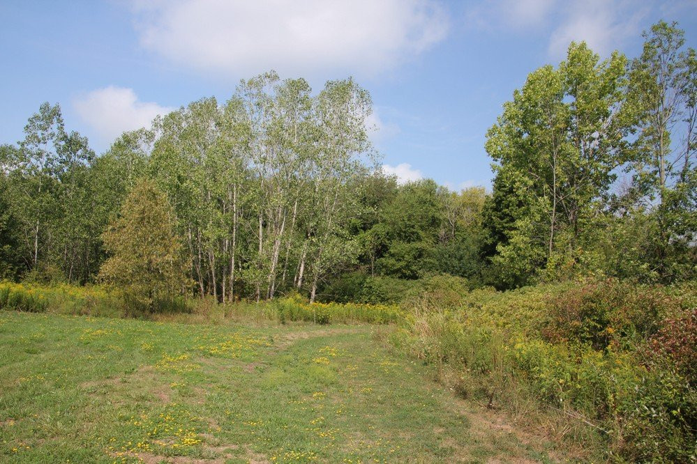 Wainfleet Bog Conservation Area景点图片