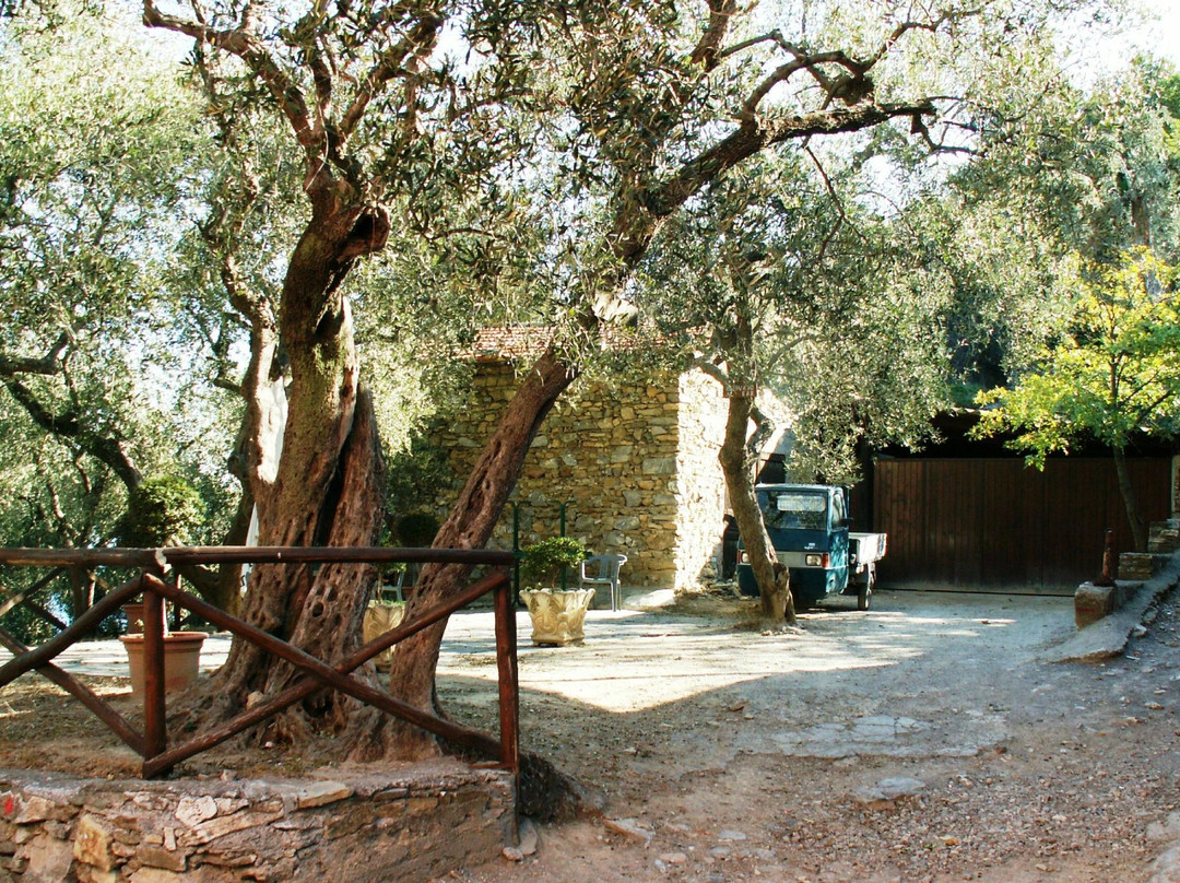 Osteria Colla Micheri