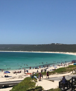 南太平洋玛格丽特河图片