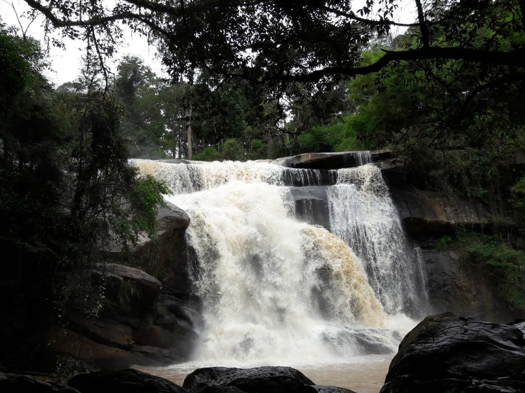 Tat Hueang Waterfall景点图片