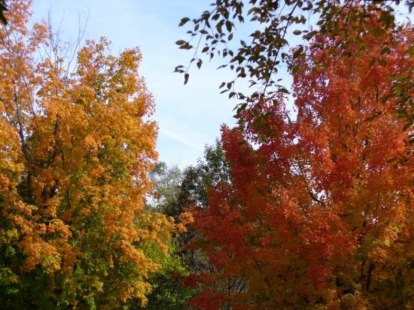 Wauconda旅游攻略图片