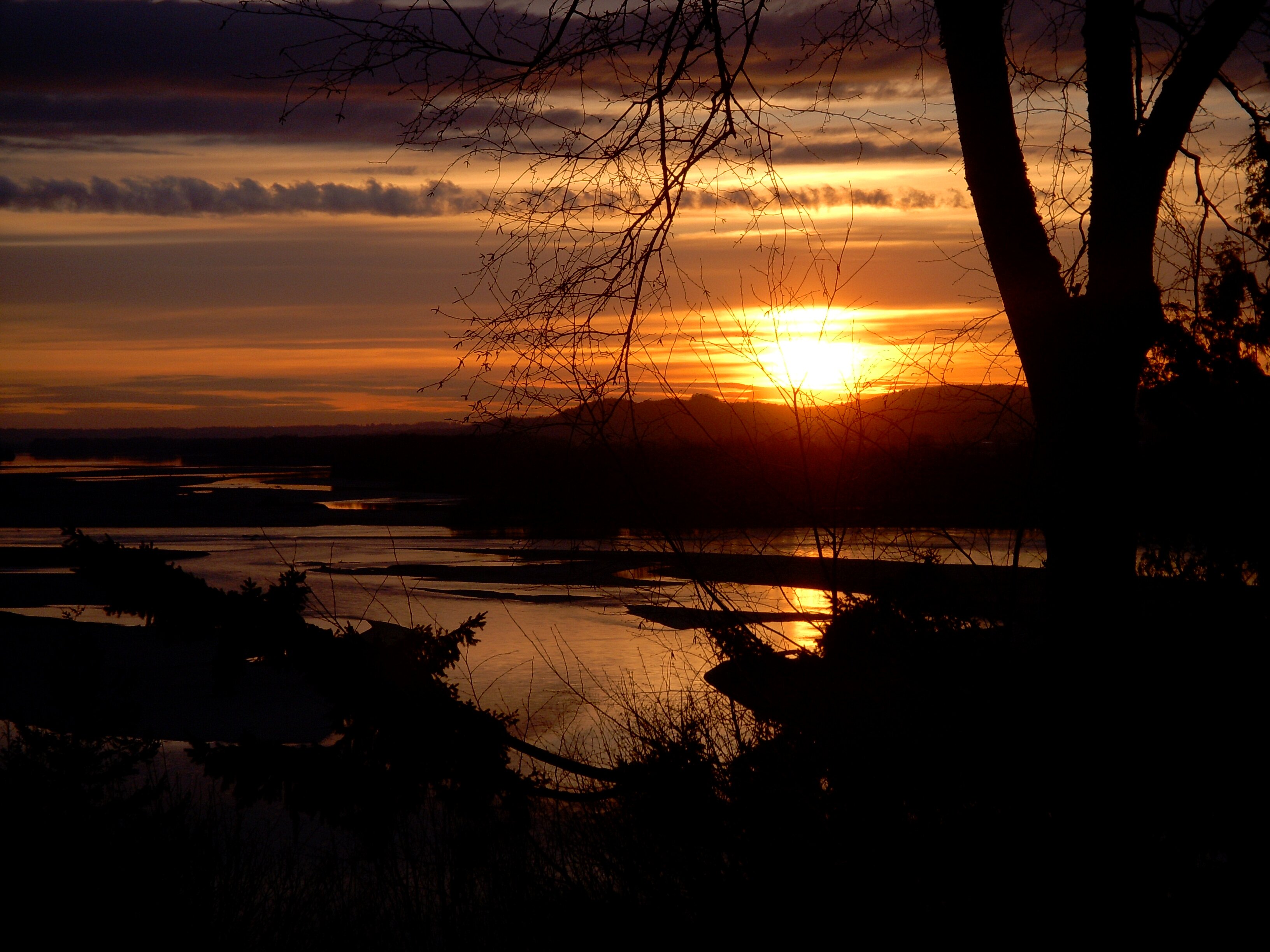 The Fraser River's Edge B&B Lodge-官方