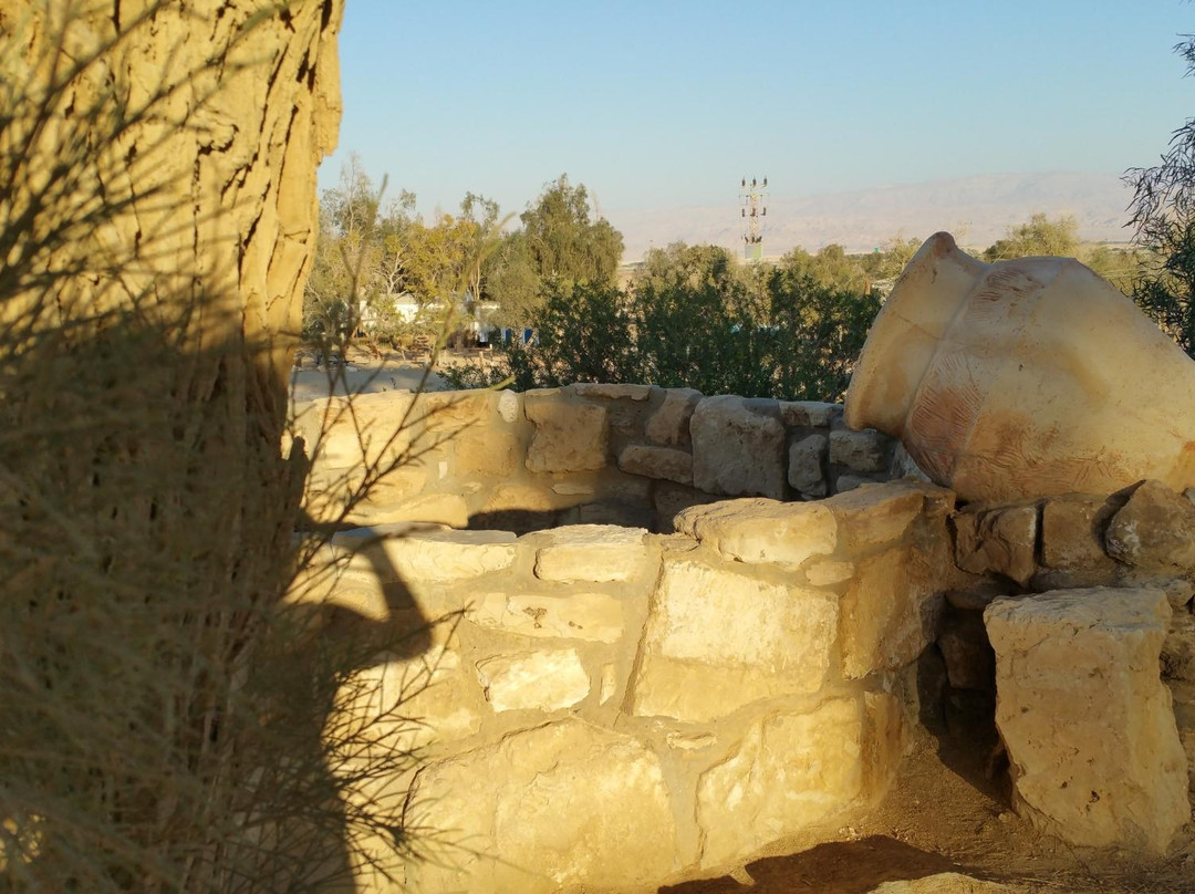 Ein Tamar旅游景点-Biblical Tamar Park