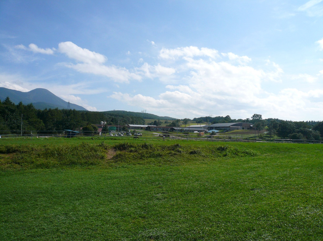 Nagato Farm-长和町必去景点