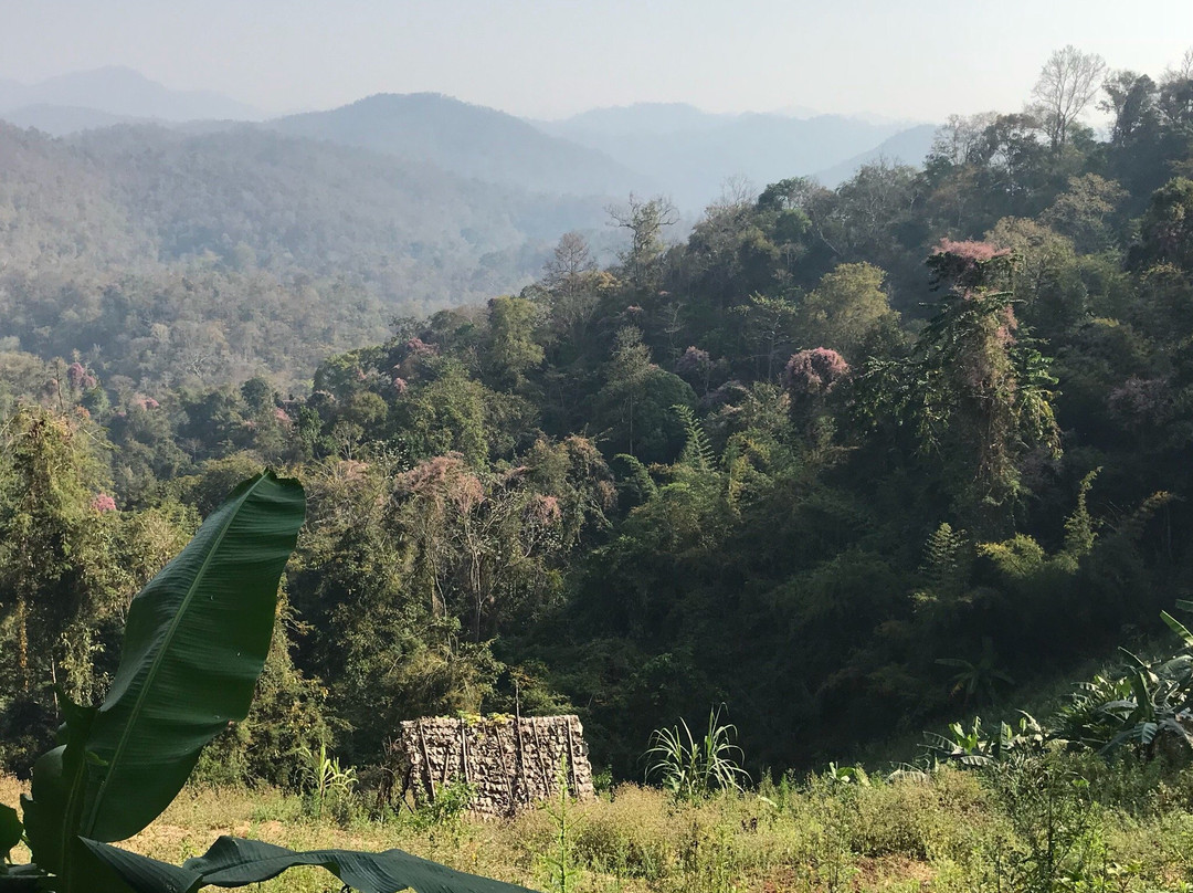 Mike's Authentic Trekking-清迈必去景点