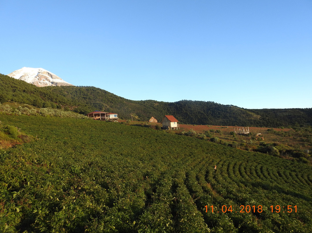 San Miguel Chinela旅游攻略图片