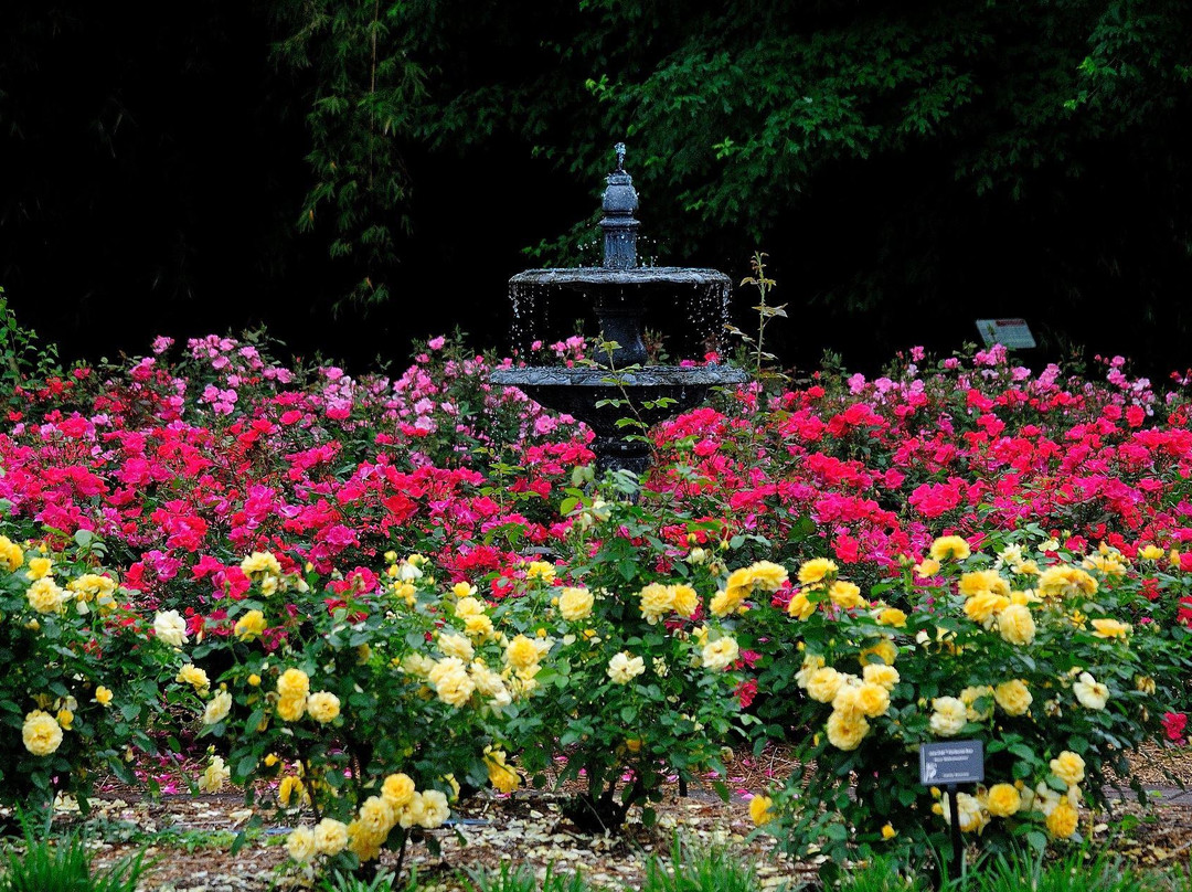 Georgetown旅游景点-Coastal Georgia Botanical Gardens