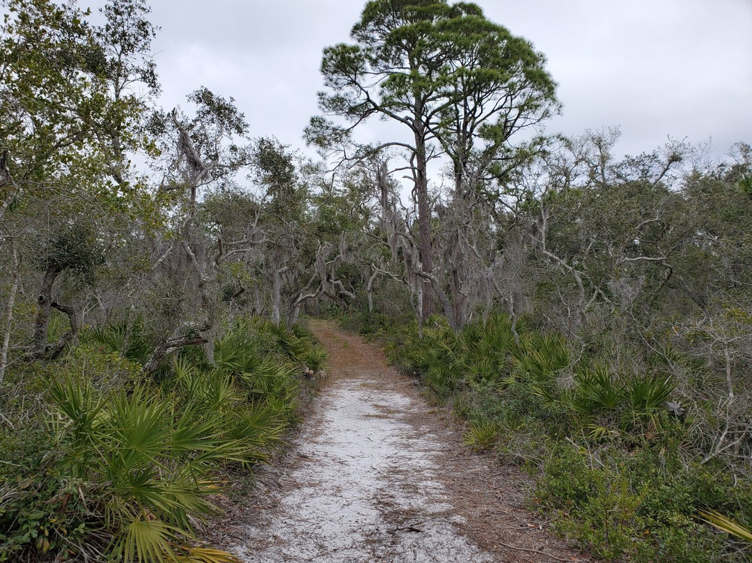 St. Joseph Bay State Buffer Preserve景点图片