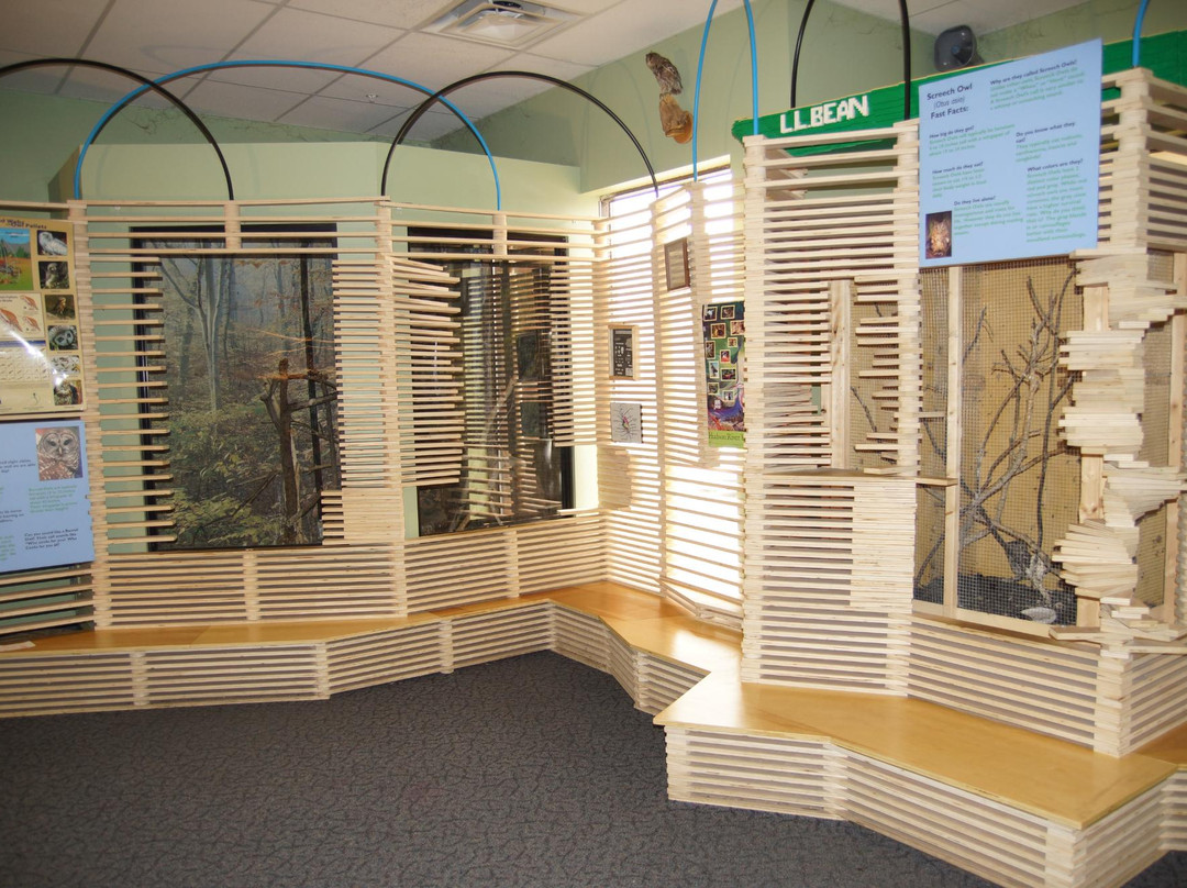 The Children's Museum of Science and Technology景点图片