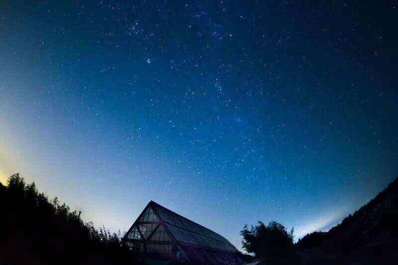 Relaxing and ecological experience in Chongming, Shanghai.-崇明县必去景点