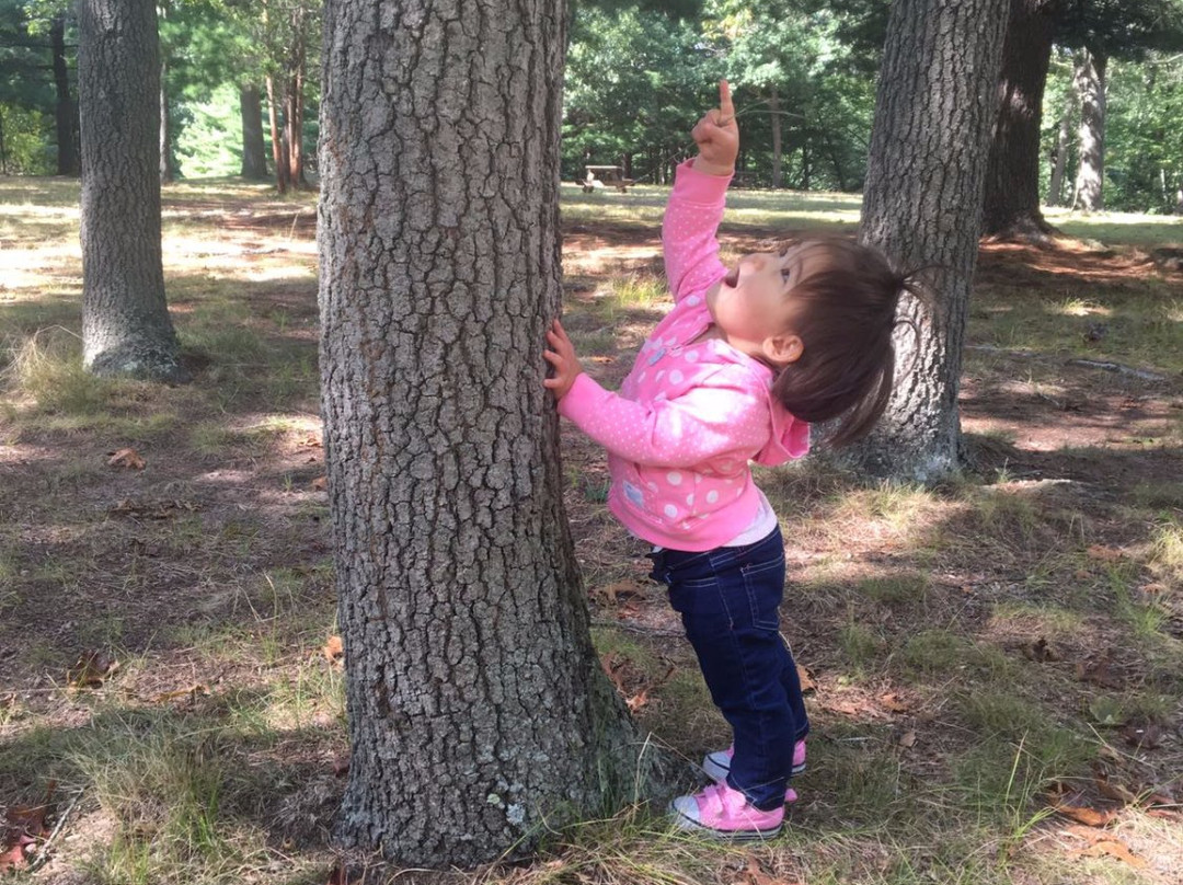 Wharton Brook State Park