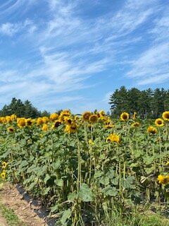 Pequawket Trail景点图片