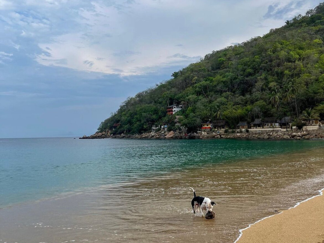 Aventura Camp Yelapa