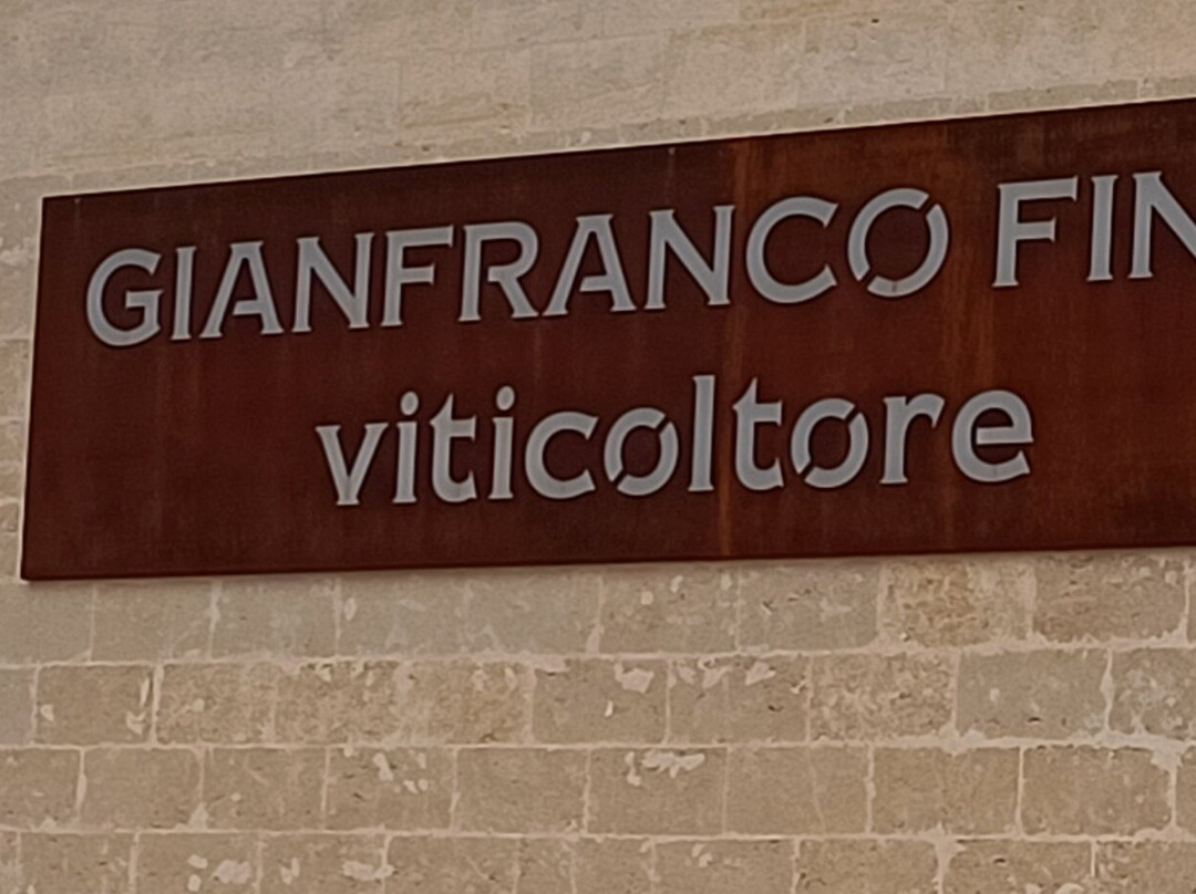 Gianfranco Fino Viticoltore