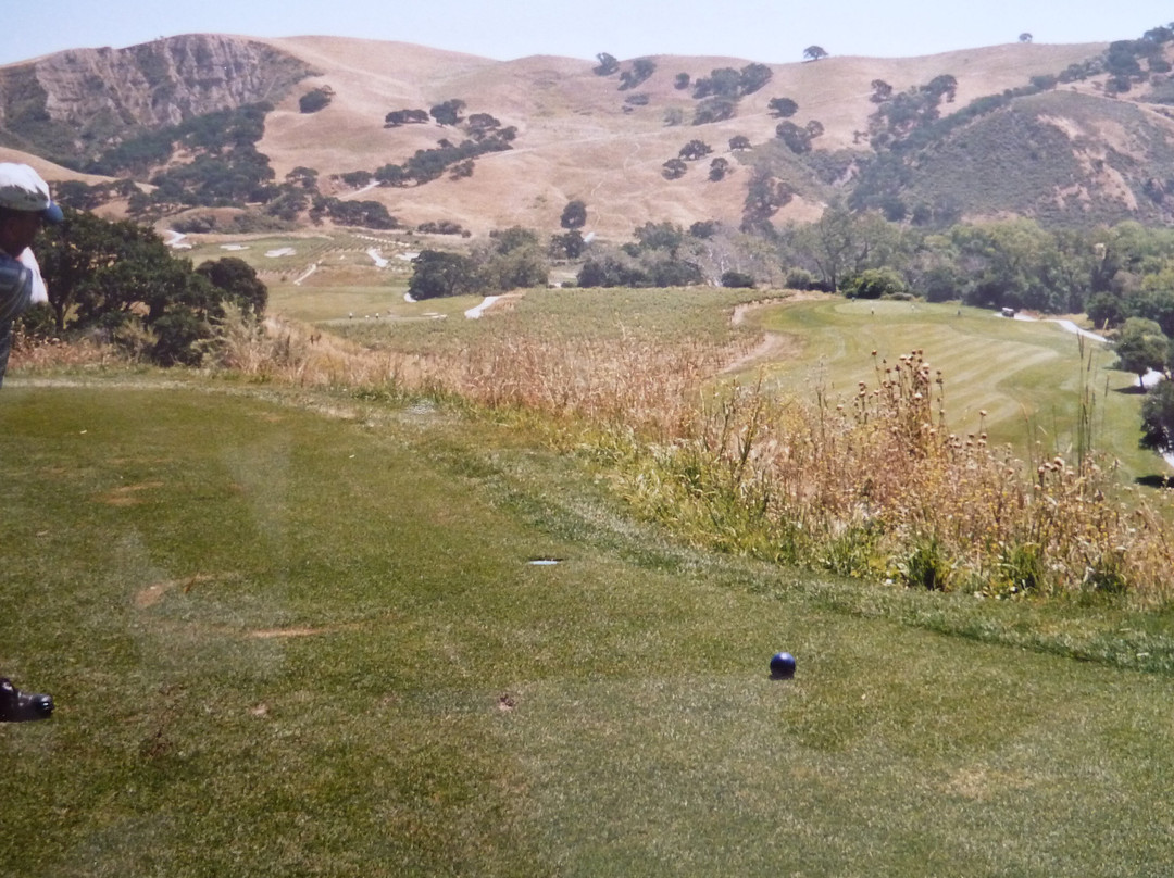 The Course at Wente Vineyards-利佛摩必去景点