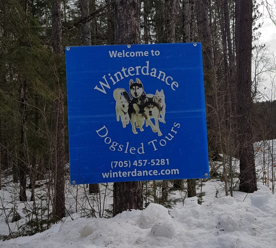 Winterdance Dogsled Tours景点图片