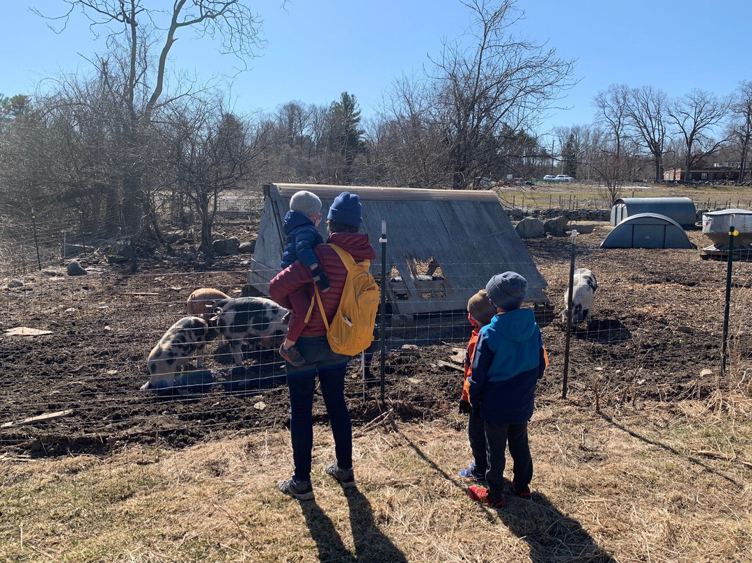 Codman Community Farms-Lincoln必去景点
