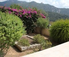 Hôtel Villa les Orangers主图