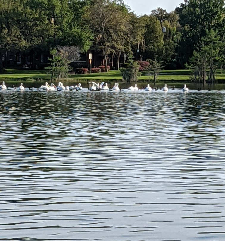 Epic Paddle Adventures-奥兰多必去景点