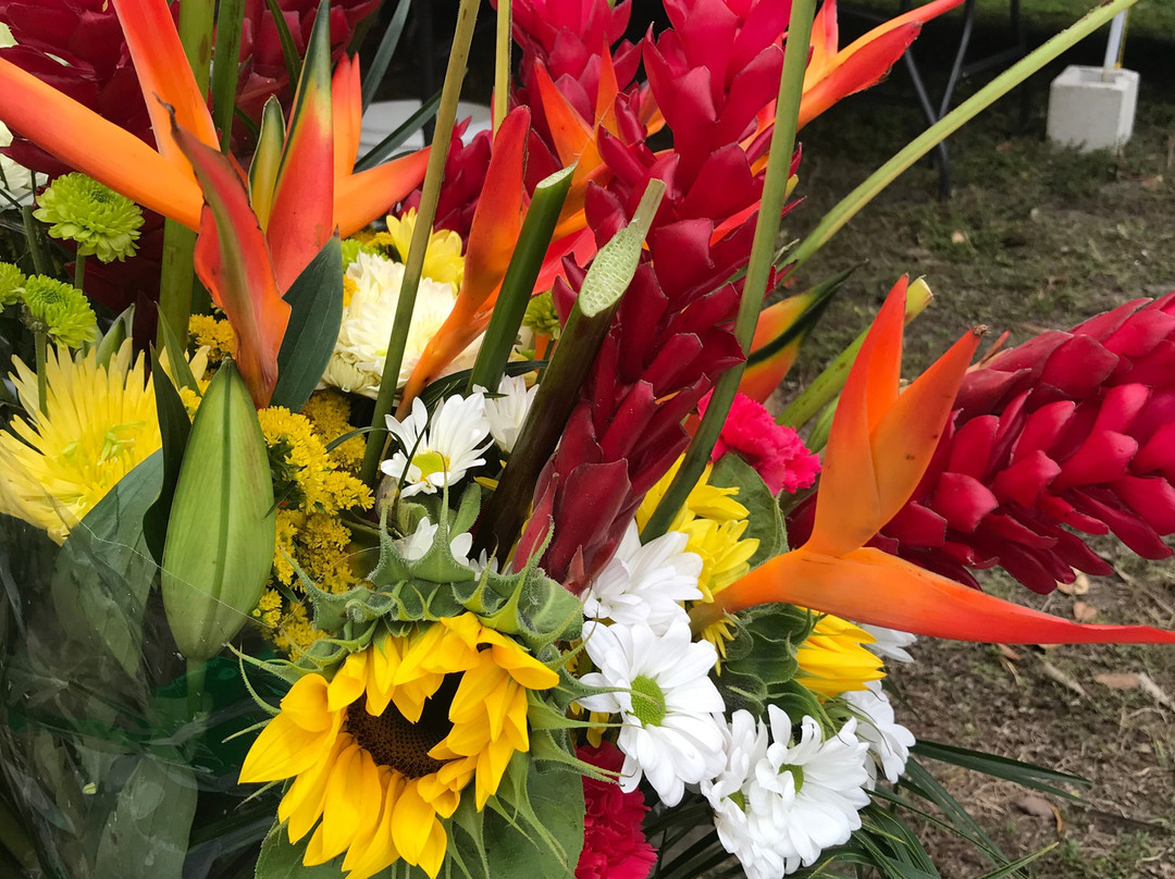 Sanibel Island Farmer's Market景点图片