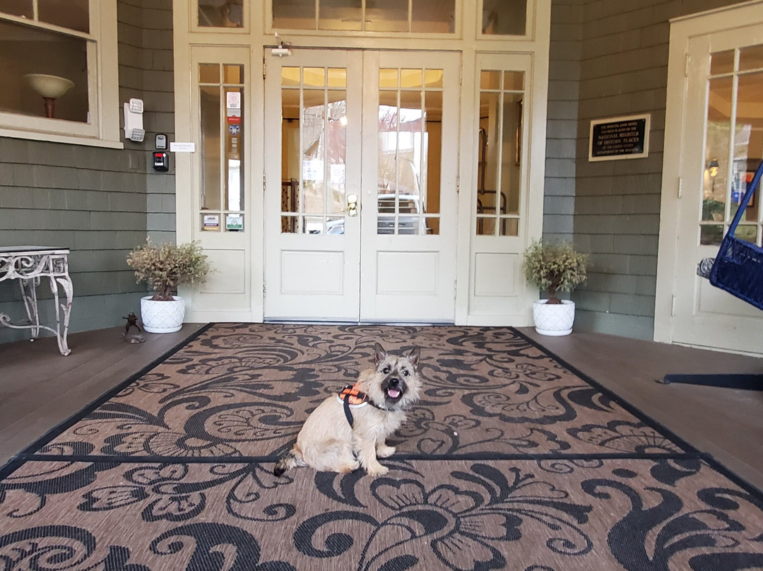 Princess Anne Hotel主图