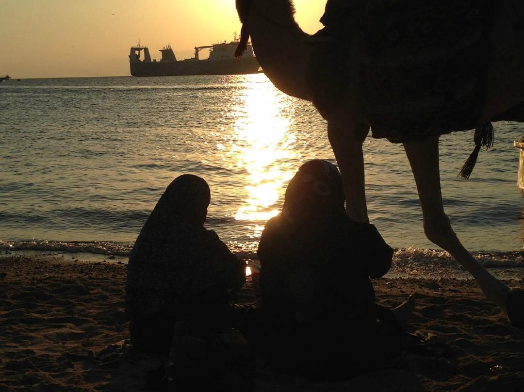 Jordan Horizons Tours-安曼必去景点