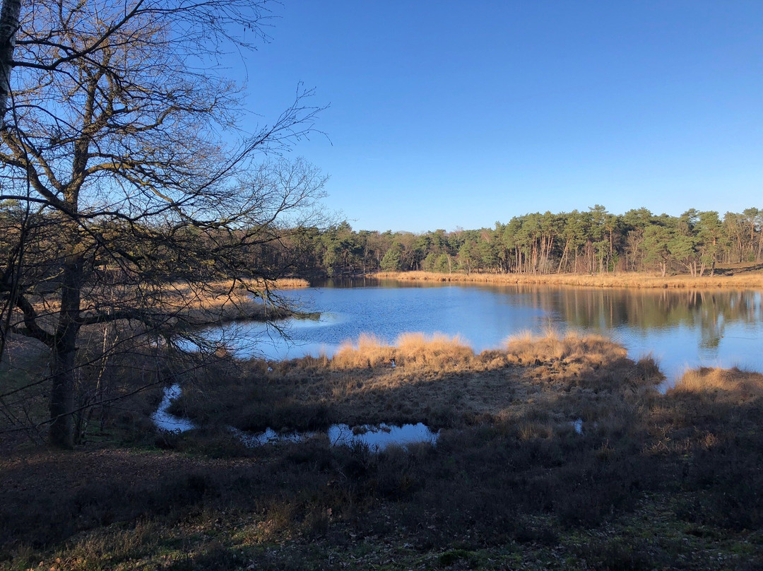 Hatertse En Overasseltse Vennen-Overasselt必去景点