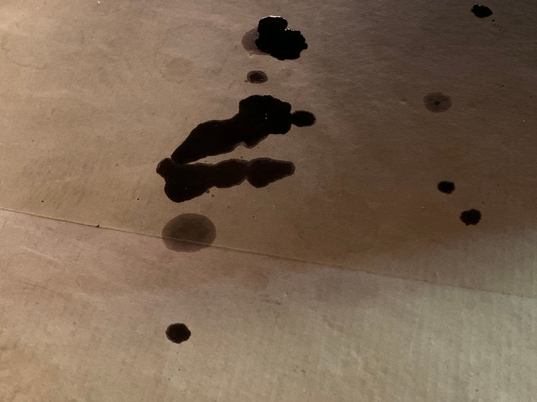 Ideal Classic Cars Museum & Showroom-威尼斯必去景点