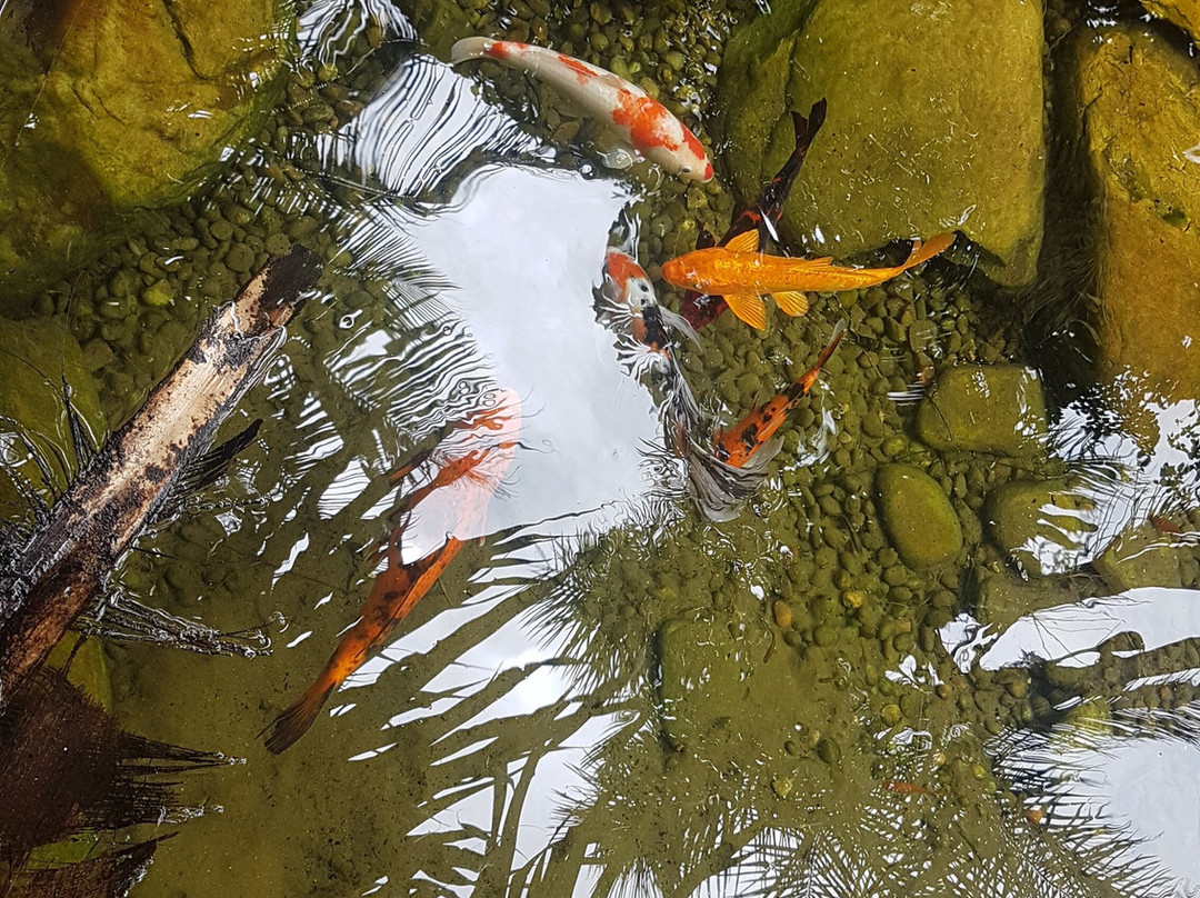 Villa do Comendador主图